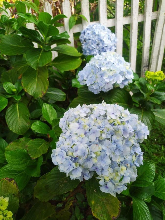 Recanto Das Flores Sao Tome das Letras Luaran gambar